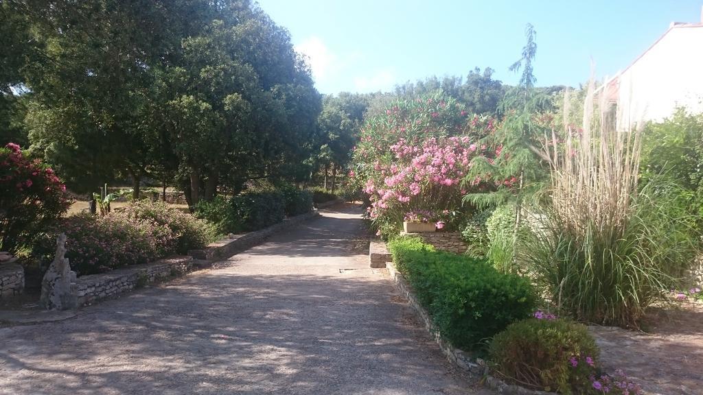 Domaine De Foresta โบนิฟาซิโอ ภายนอก รูปภาพ